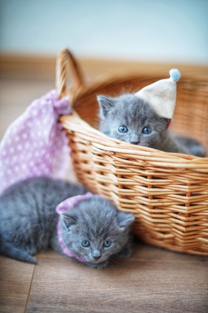 Photograph by Анастасия Позинич