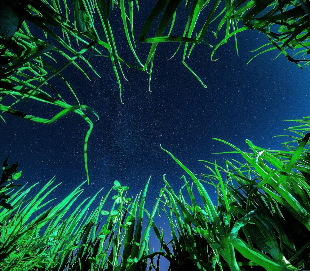 Photograph by Владимир Огородников