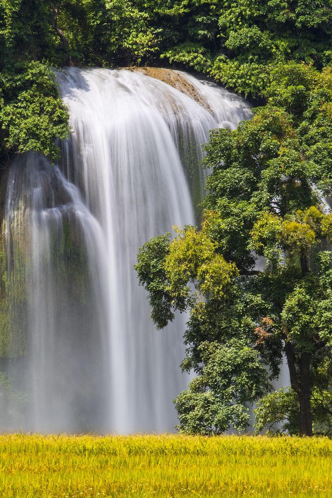 Photograph by Nguyễn Anh Tuấn