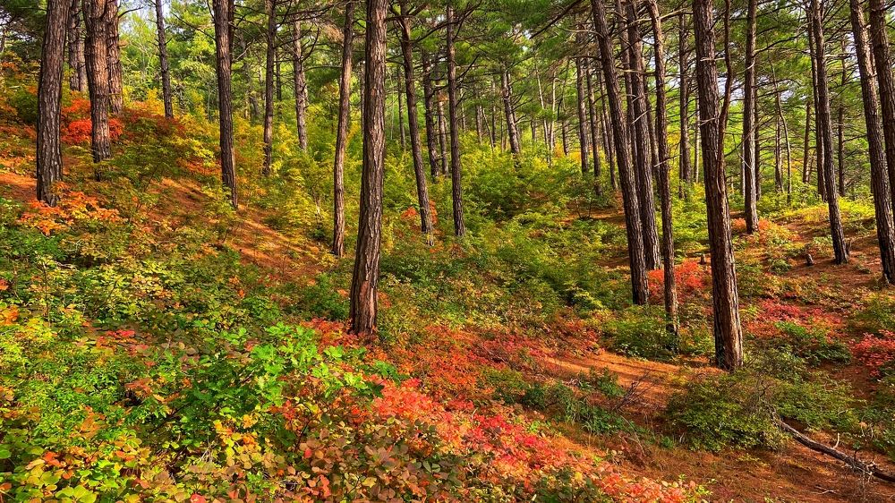 Photograph by Сергей Казарцев