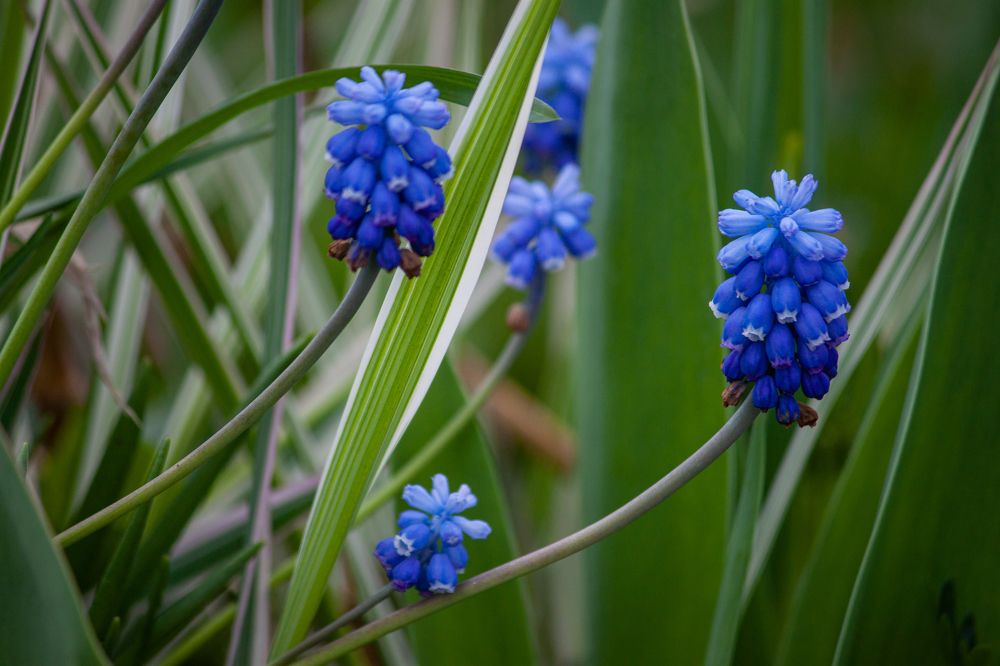 Photograph by Владислав Капанов