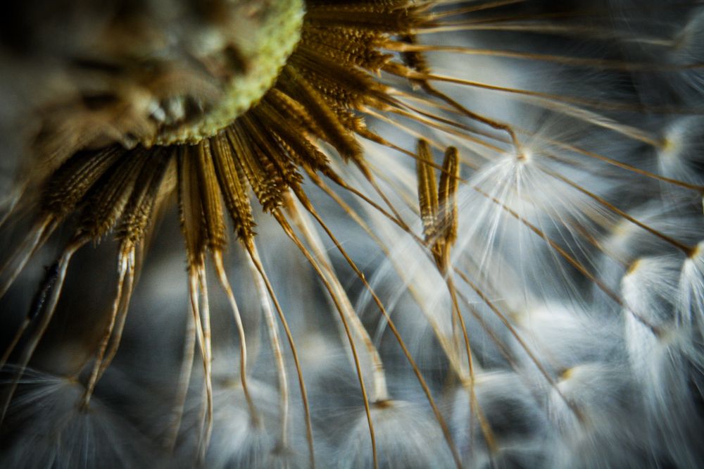 Photograph by Ольга Казакова