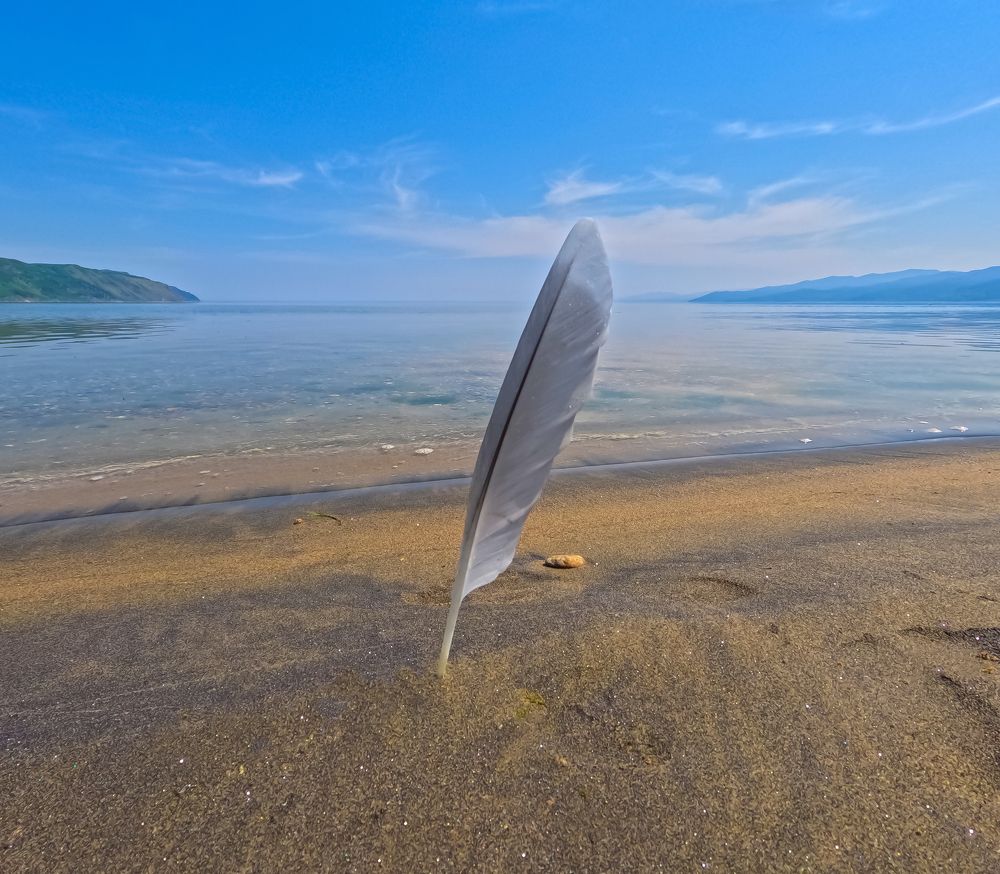 Photograph by Владимир Огородников