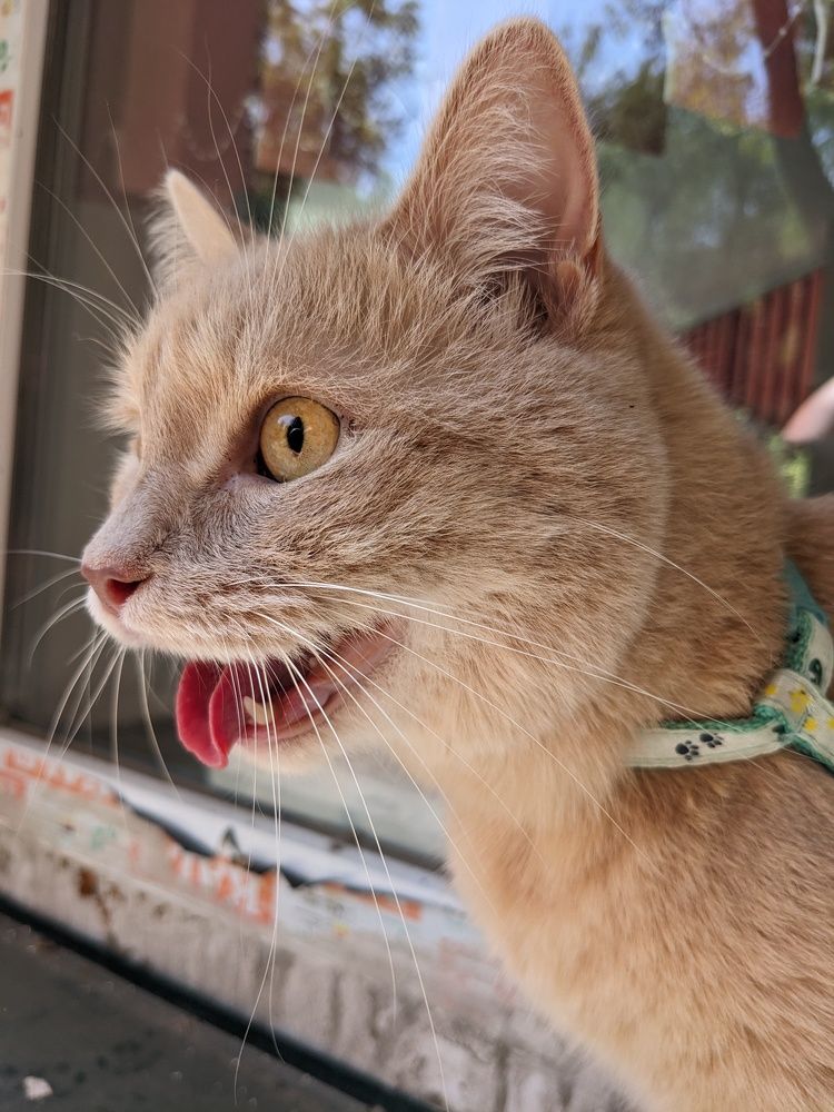 Photograph by Константин Косяков