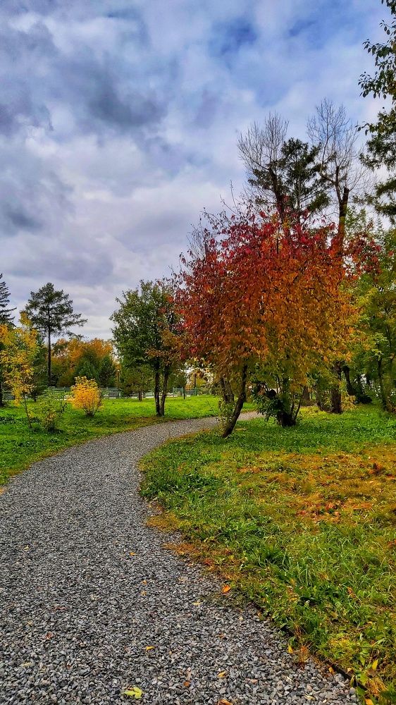 Photograph by Владимир Огородников