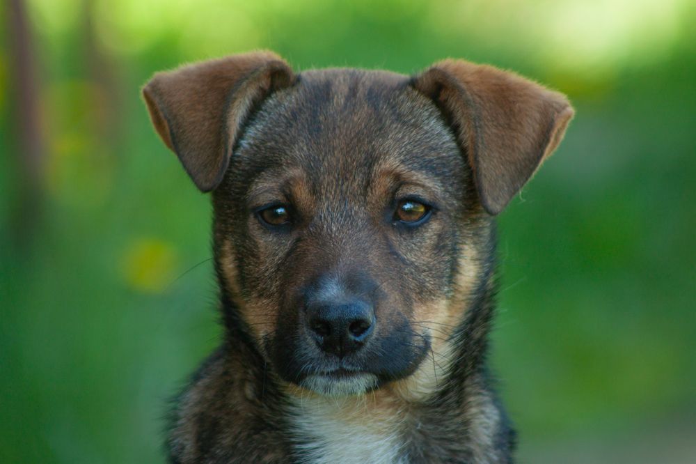 Photograph by Владислав Капанов