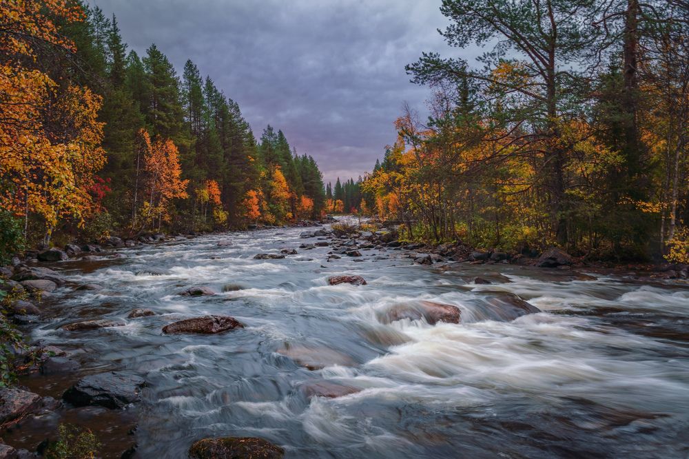 Photograph by Полякова Наталия