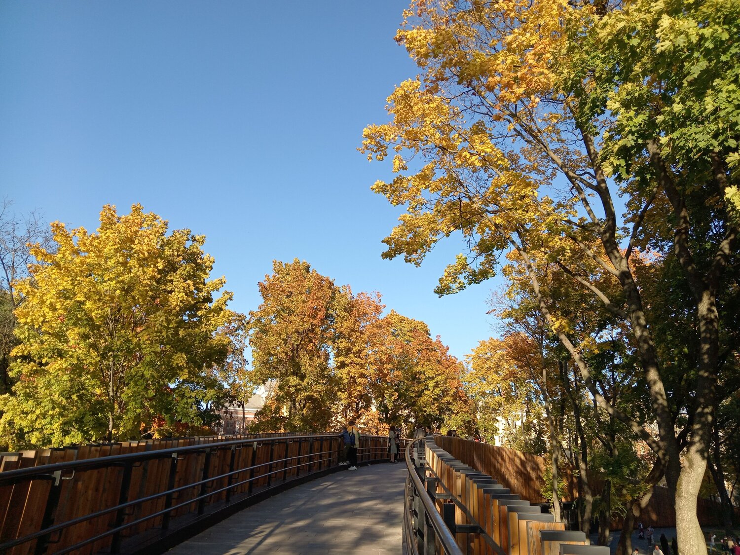 Photo #9702644