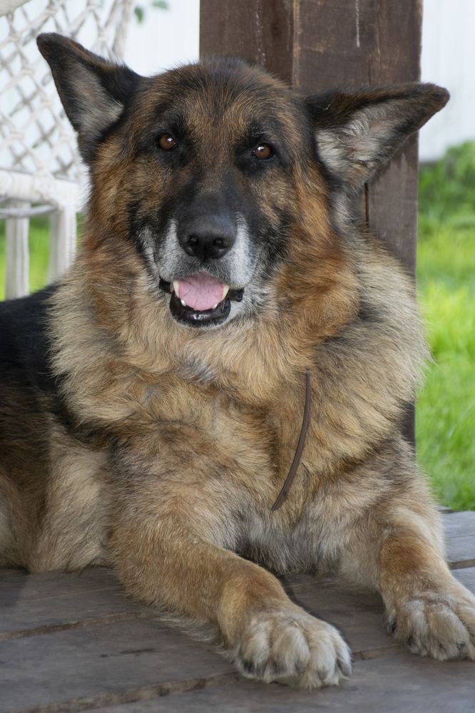 Photograph by Владимир Огородников