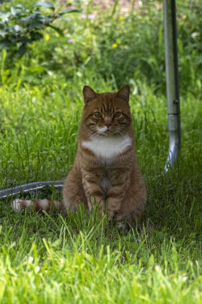 Photograph by Владимир Огородников