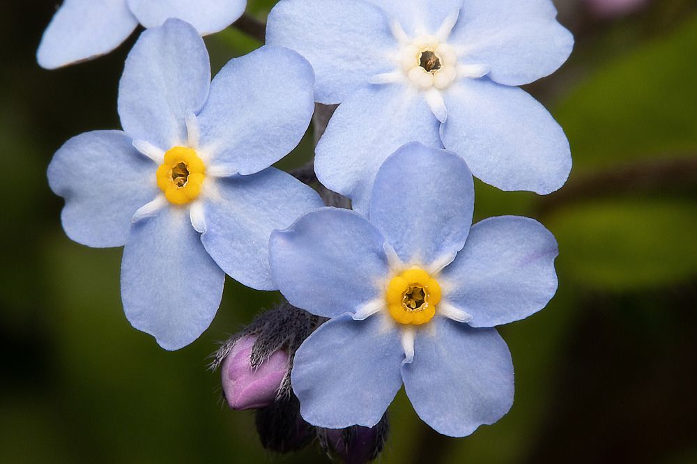 Photograph by Stéphane Boucher
