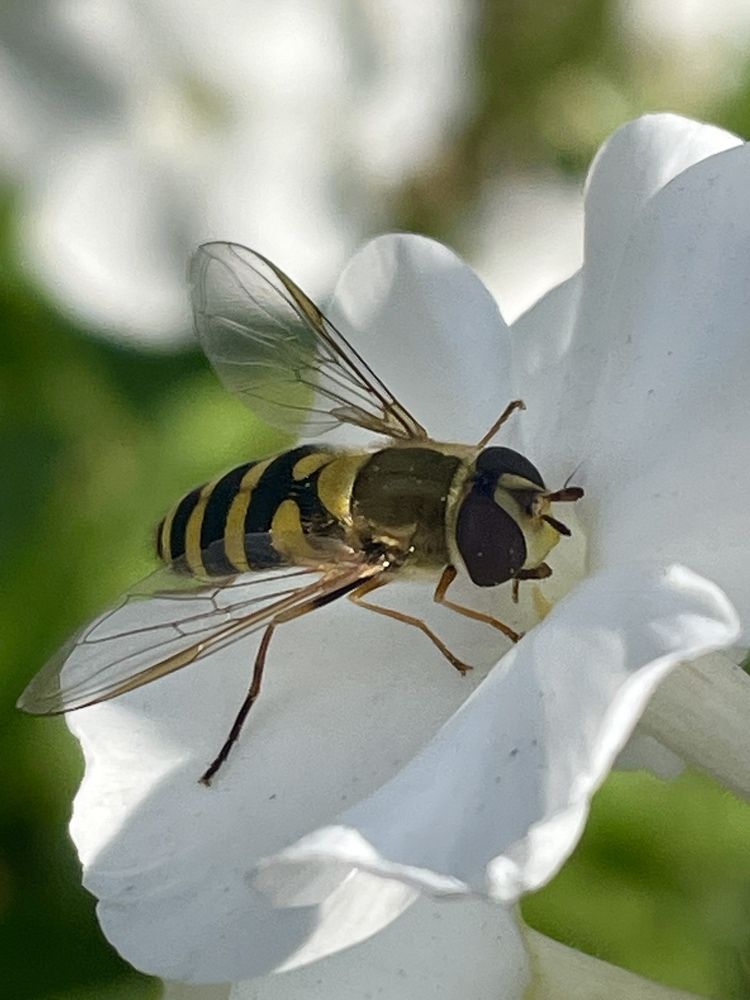 Photograph by Наталья Маркова