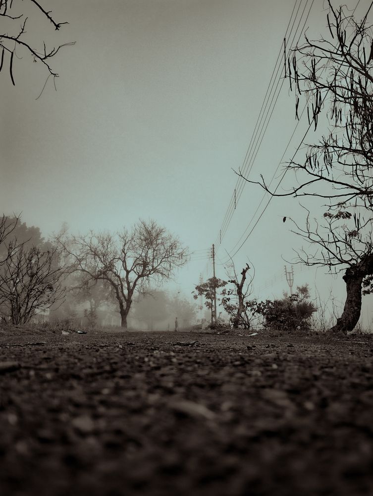 Photo #9702734