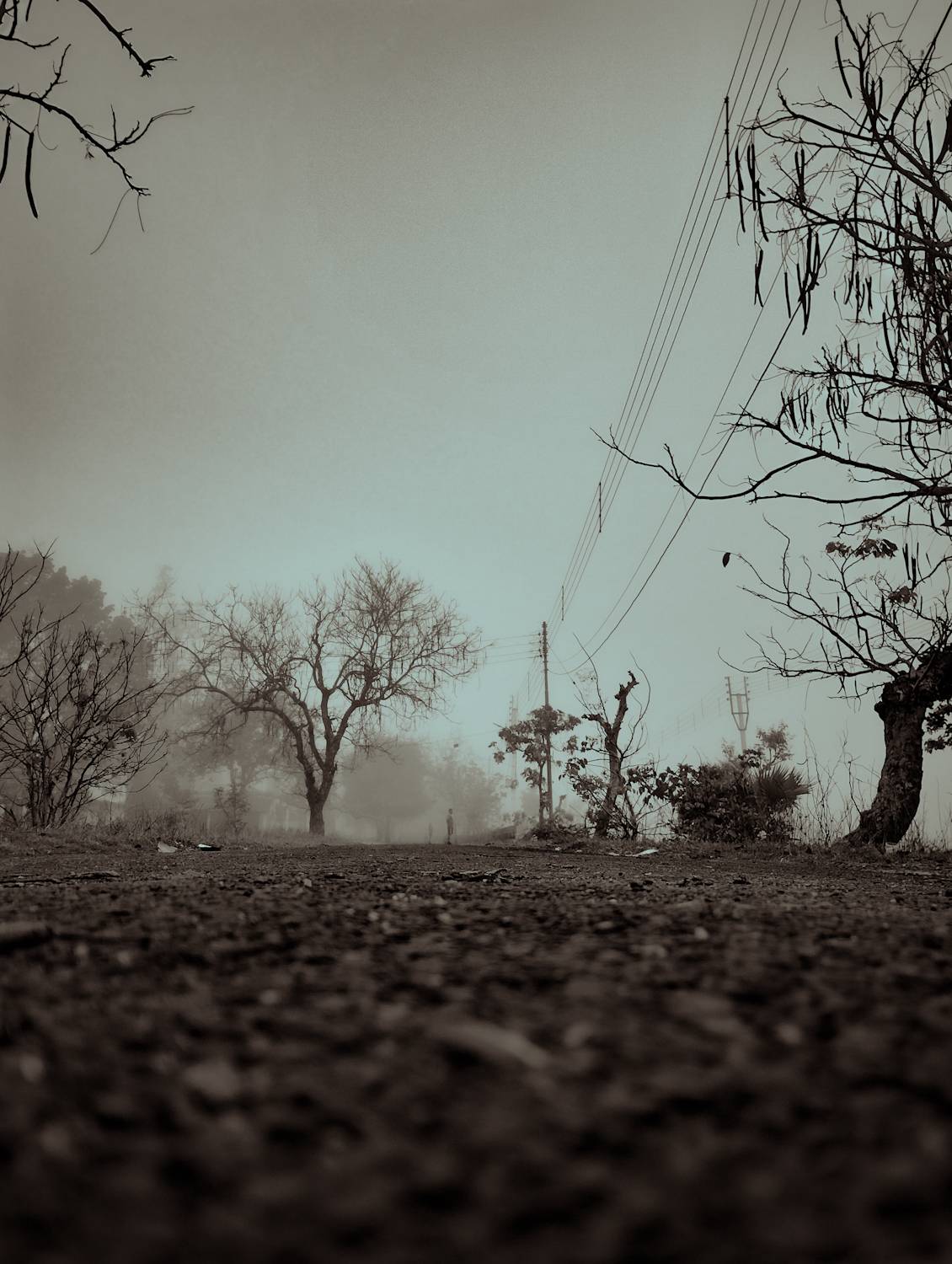Photo #9702734