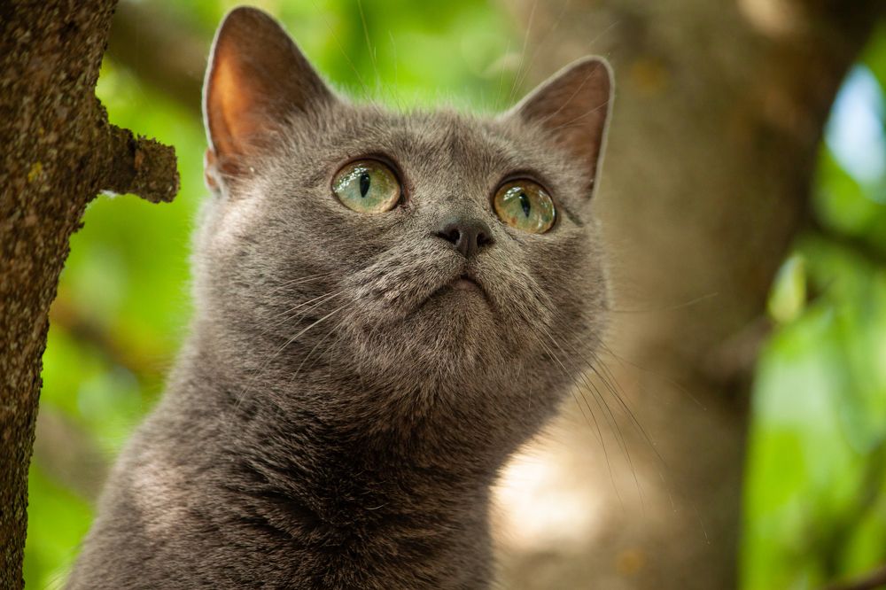 Photograph by Владислав Капанов