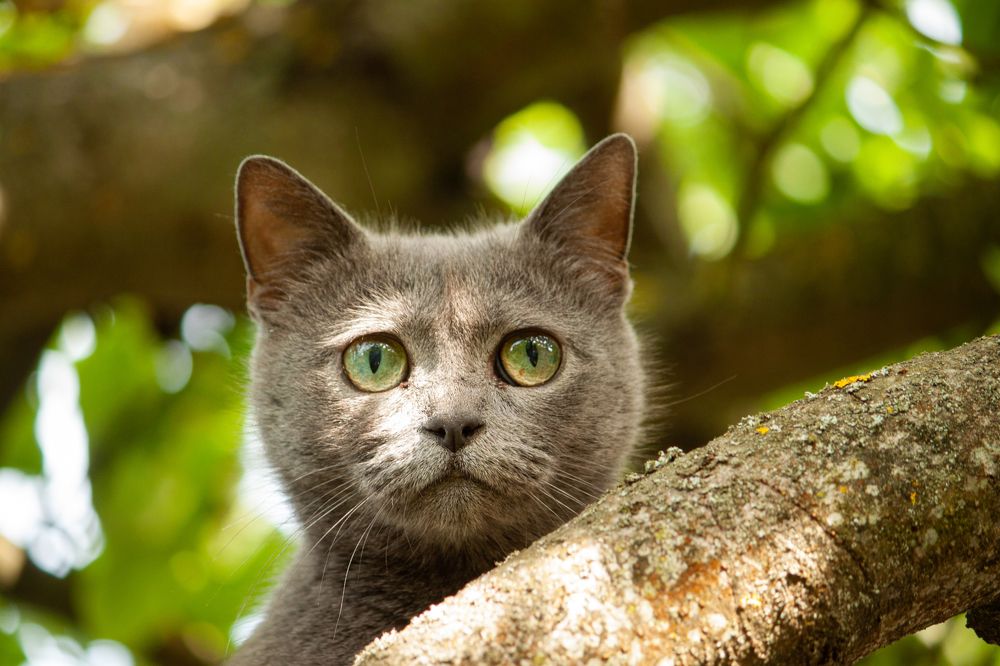 Photograph by Владислав Капанов