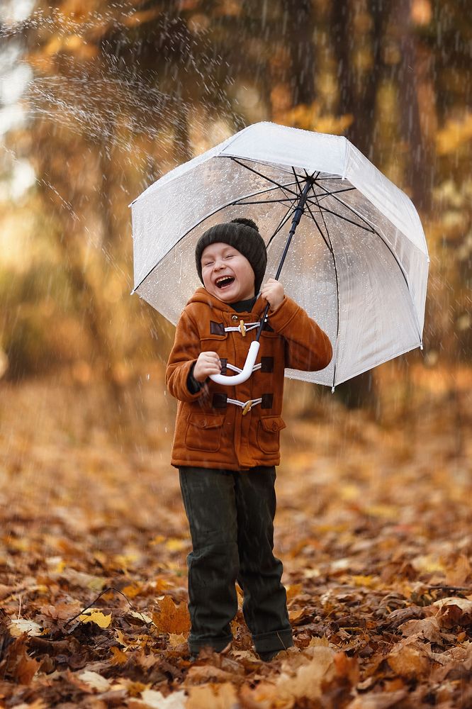 Фотография автора Тамара Дмитриева