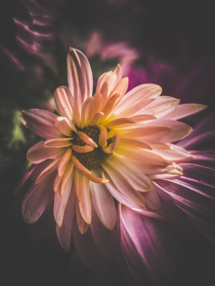 Photograph by Мария Акимова