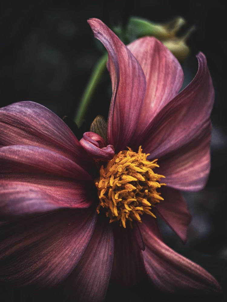 Photograph by Мария Акимова