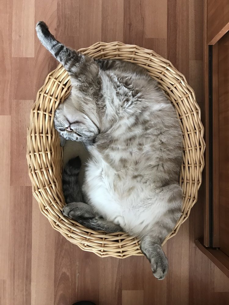 Photograph by Мария Акимова