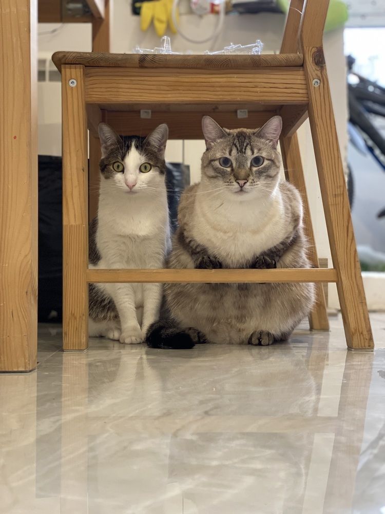 Photograph by Мария Акимова