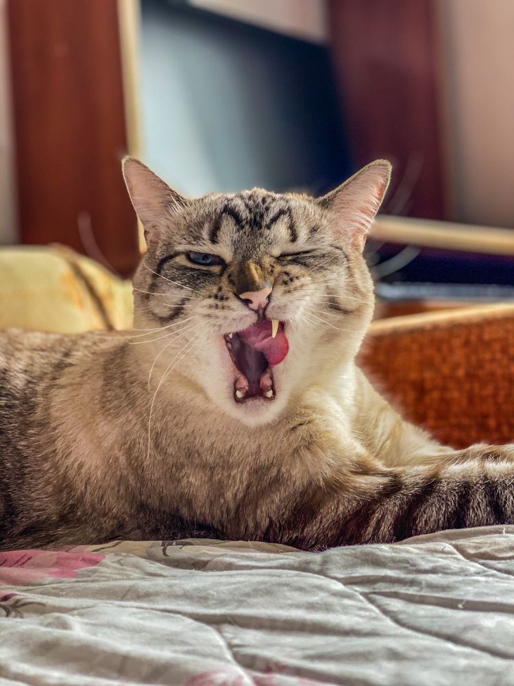 Photograph by Мария Акимова