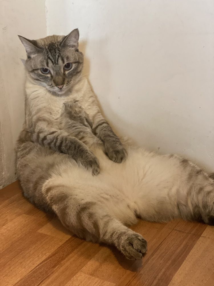 Photograph by Мария Акимова