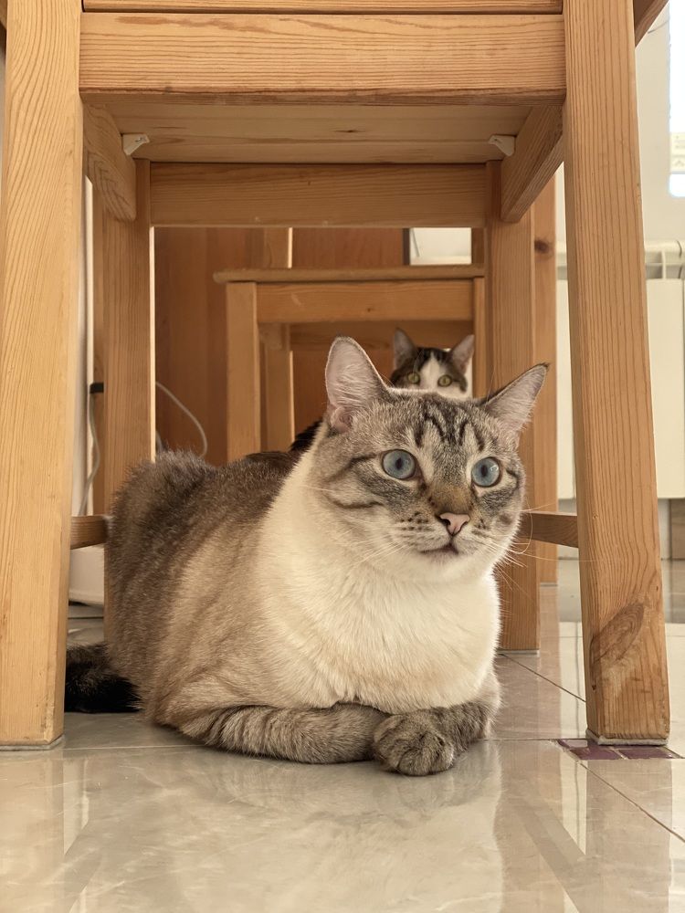 Photograph by Мария Акимова