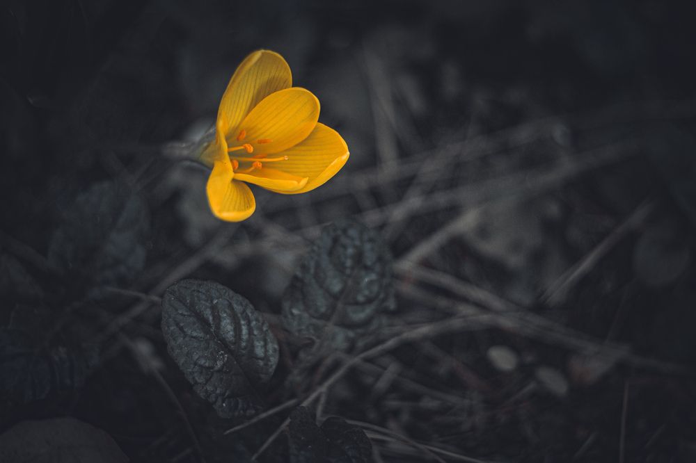 Photograph by Екатерина Мурсынина