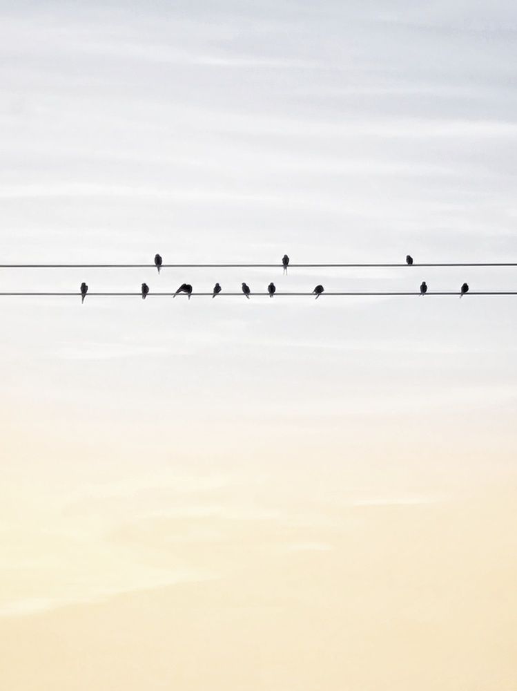 Photograph by Hanna Bourne