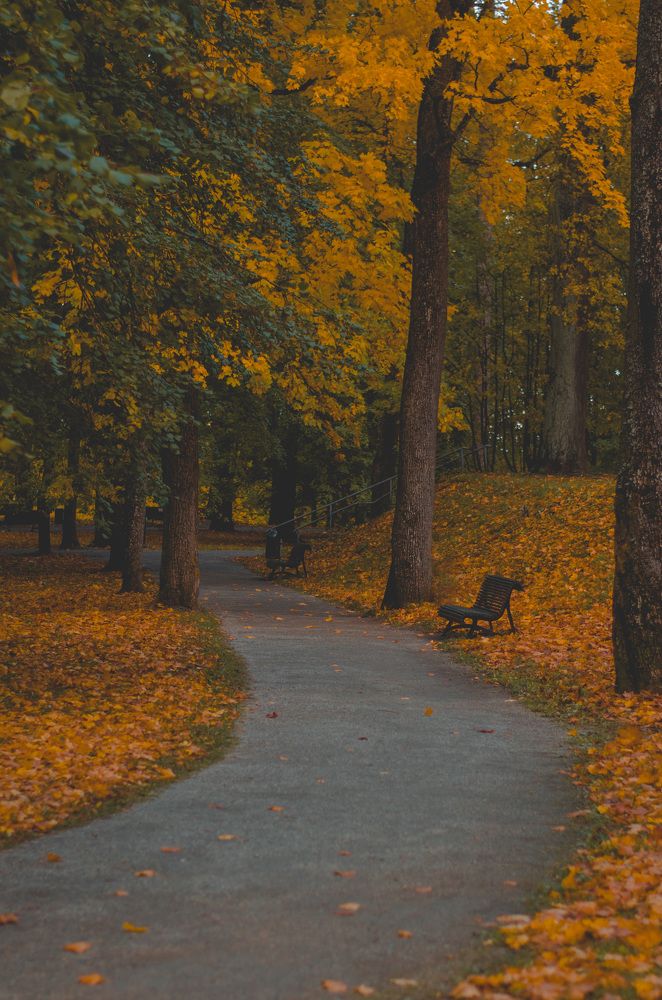 Фотография автора Liidia Klemmer