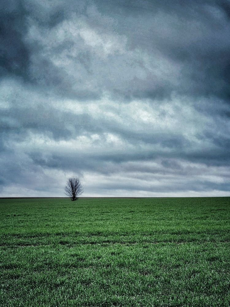 Photograph by Hanna Bourne