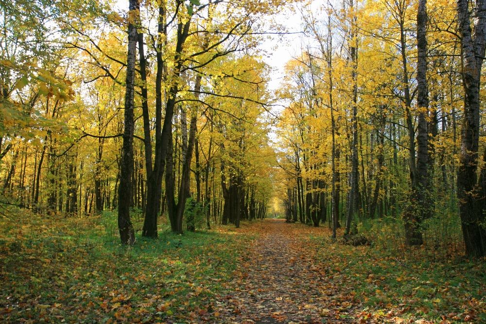 Photograph by Алена Ходатович