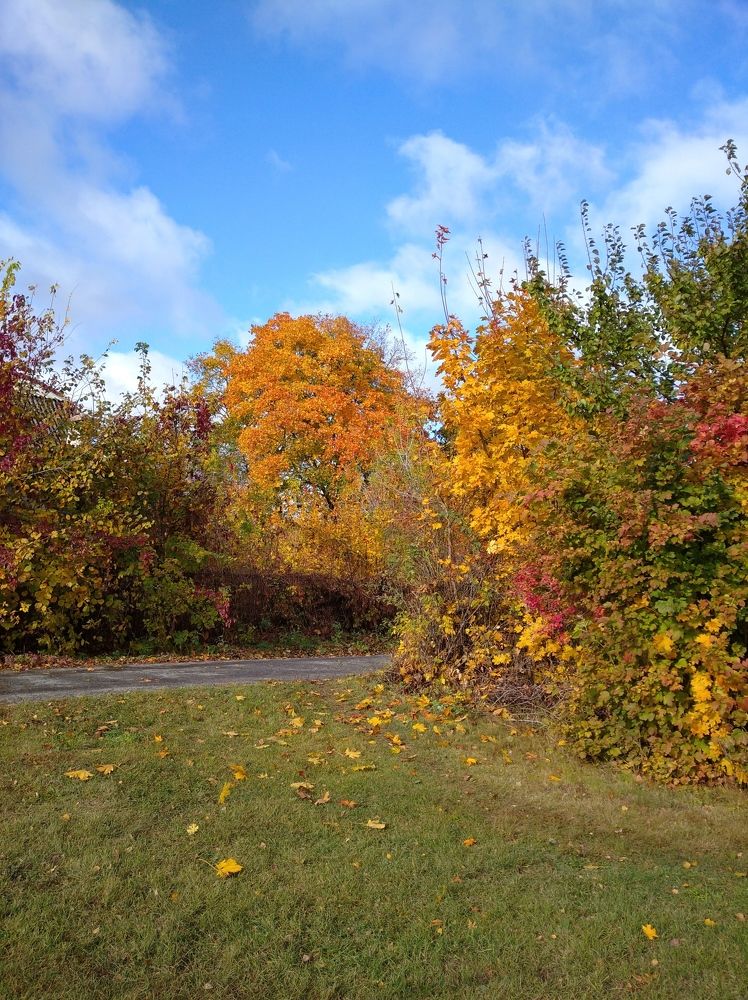 Photograph by Елена Коробченко