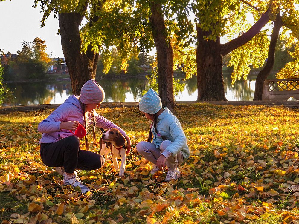 Photograph by Нина Будникова