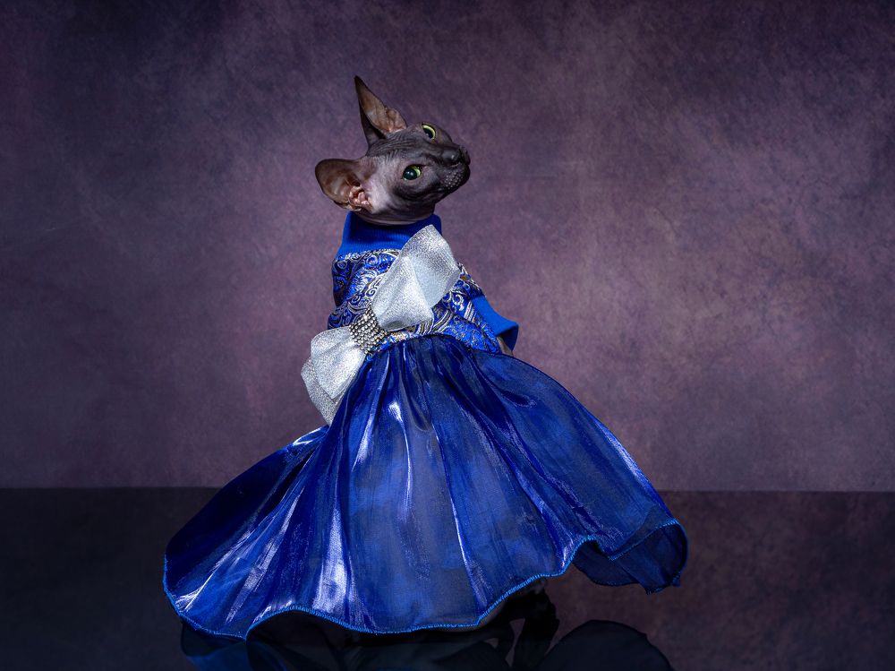 Photograph by Светлана Медведева