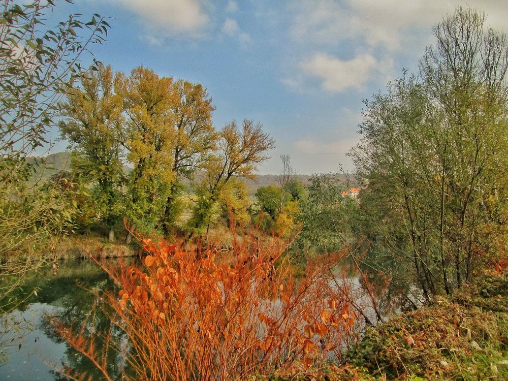 Photograph by Dragoslav Macanovic