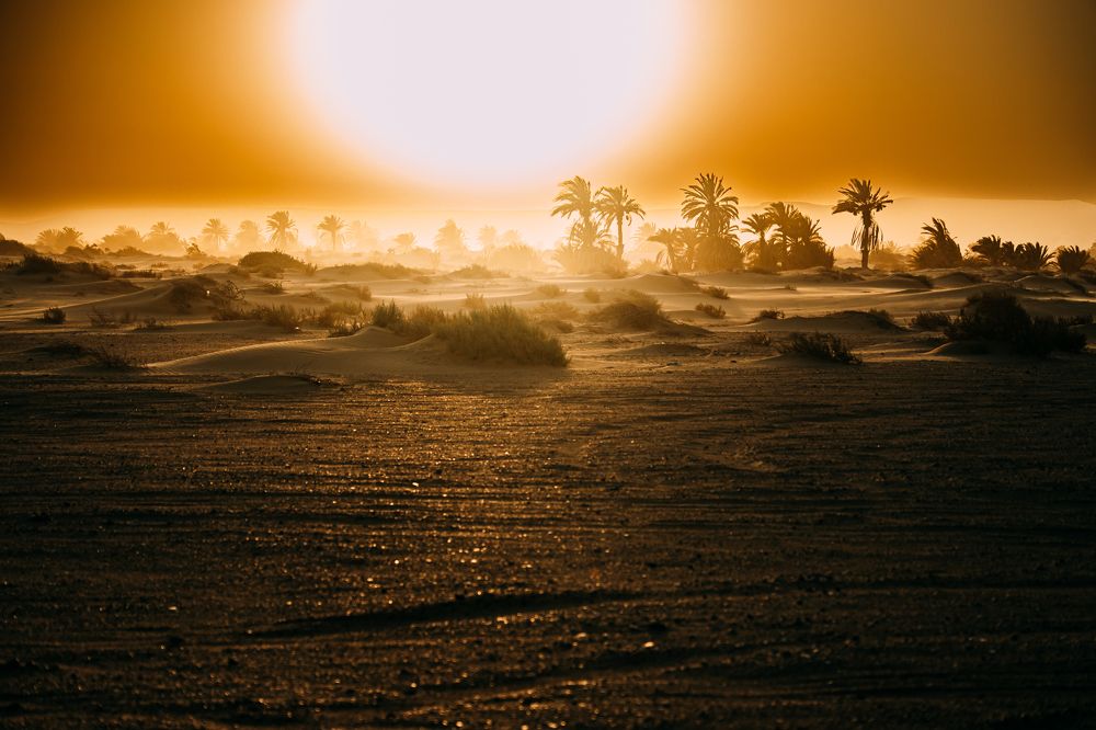 Photograph by Mostafa Bahnasy