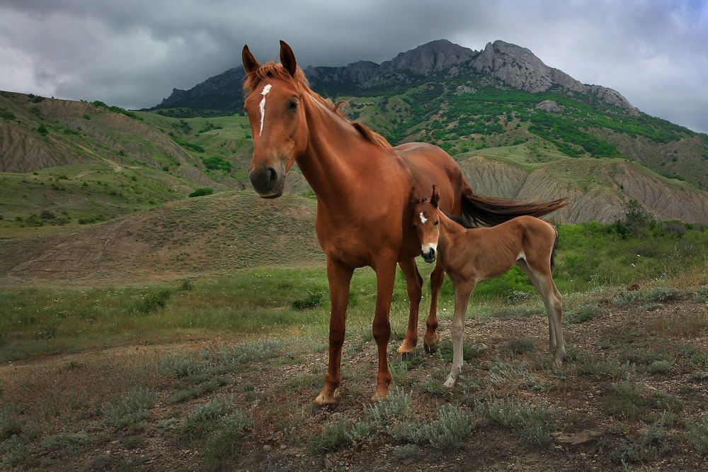 Photograph by Виктор Смирнов