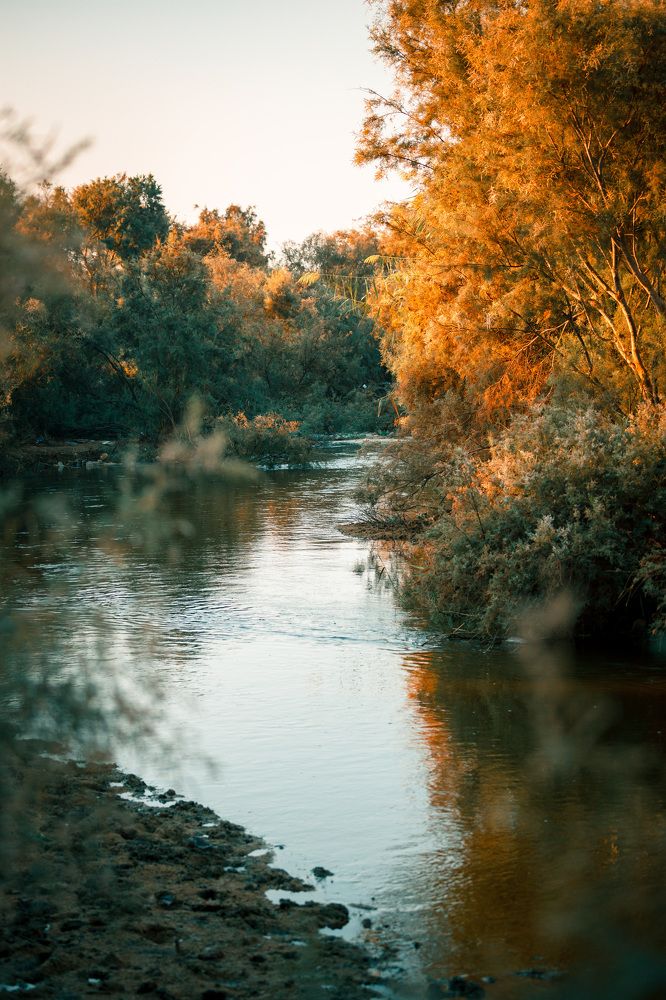 Photograph by Mostafa Bahnasy