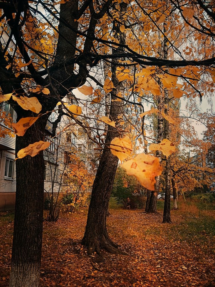 Photograph by Марина Гусева