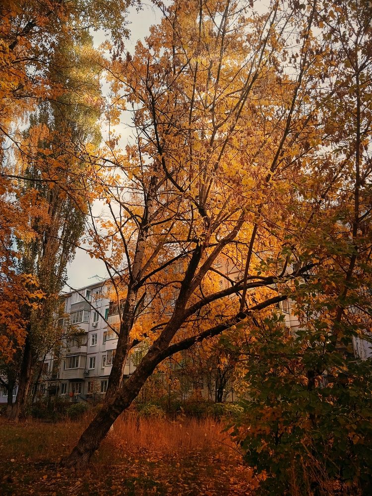 Photograph by Марина Гусева