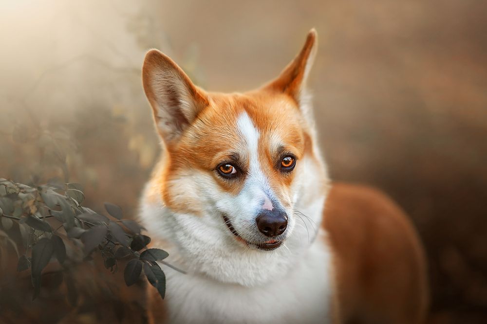 Photograph by  姚文琦