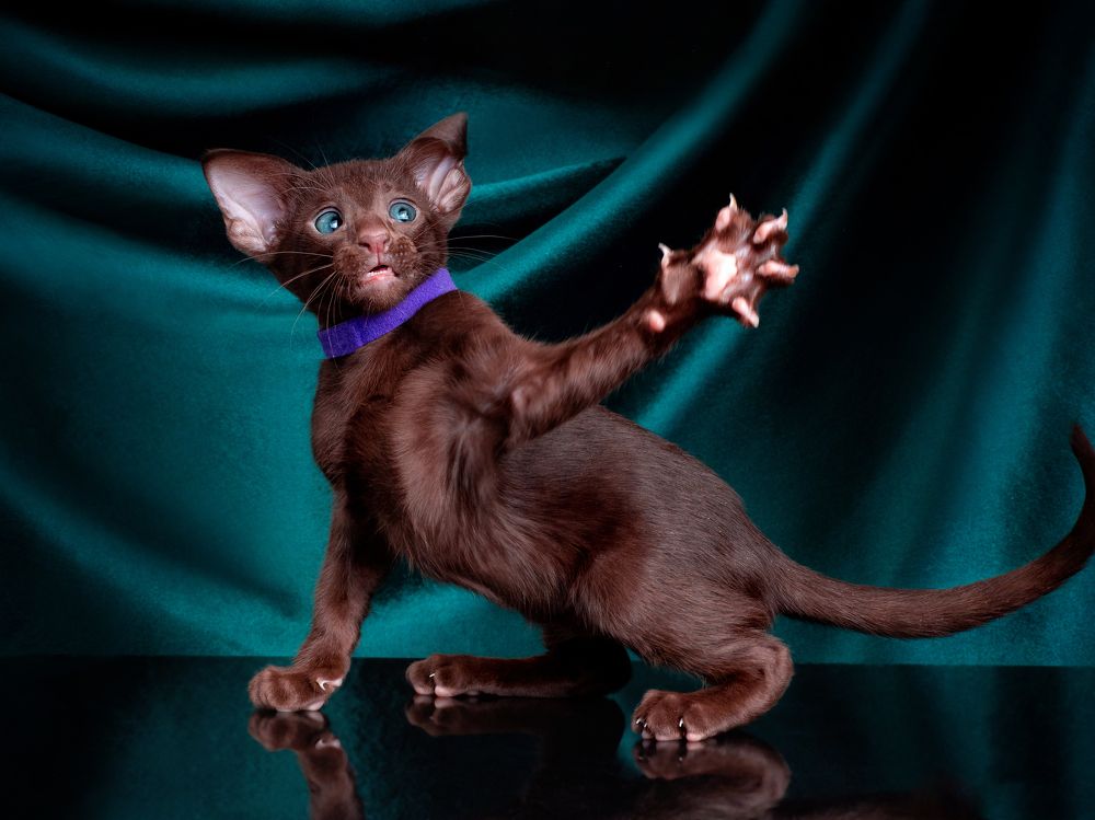 Photograph by Светлана Медведева