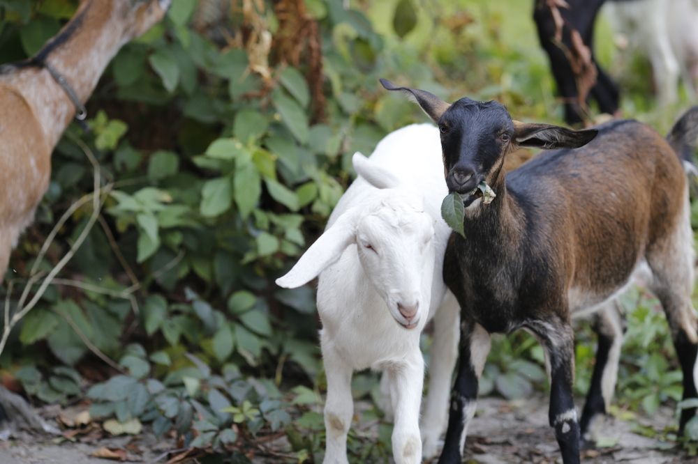 Photograph by Елена Буканина