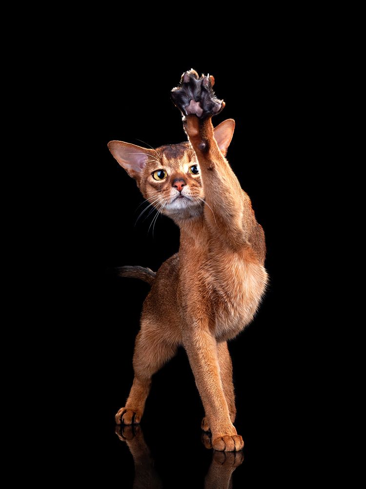 Photograph by Светлана Медведева