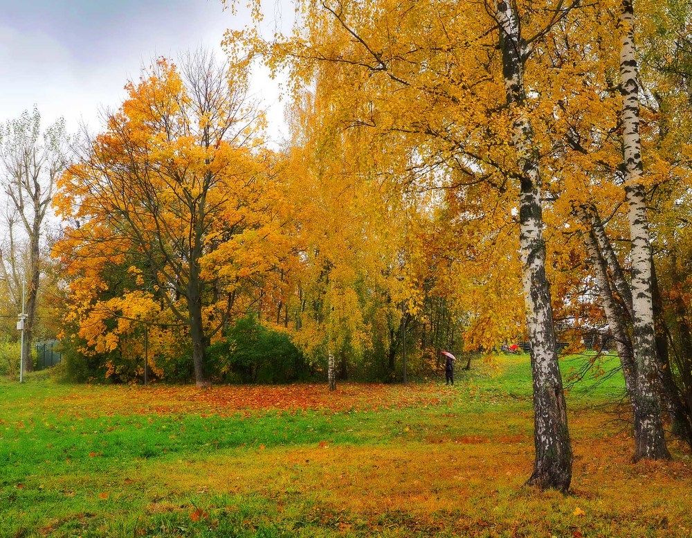Photograph by Андрей Анисимов