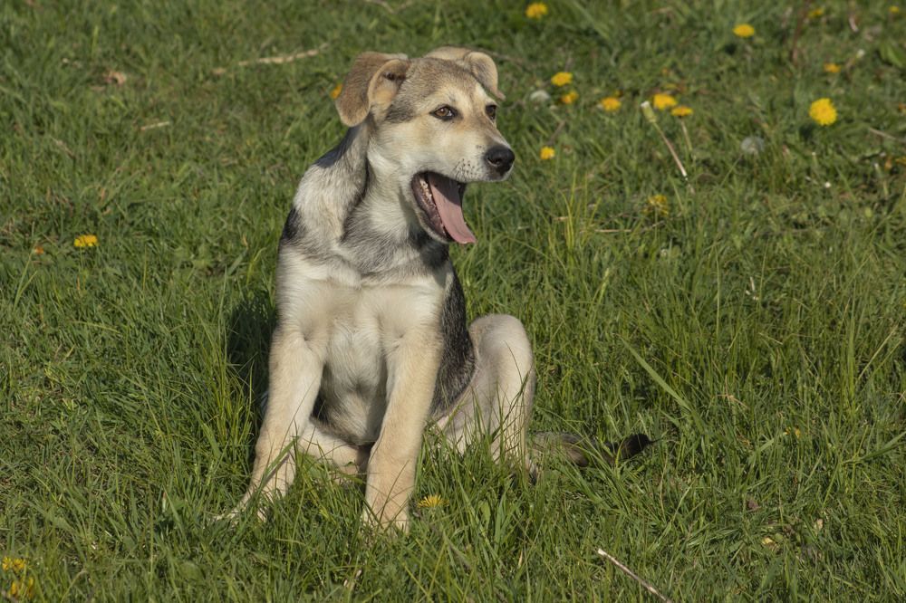 Photograph by Вера Почкалина