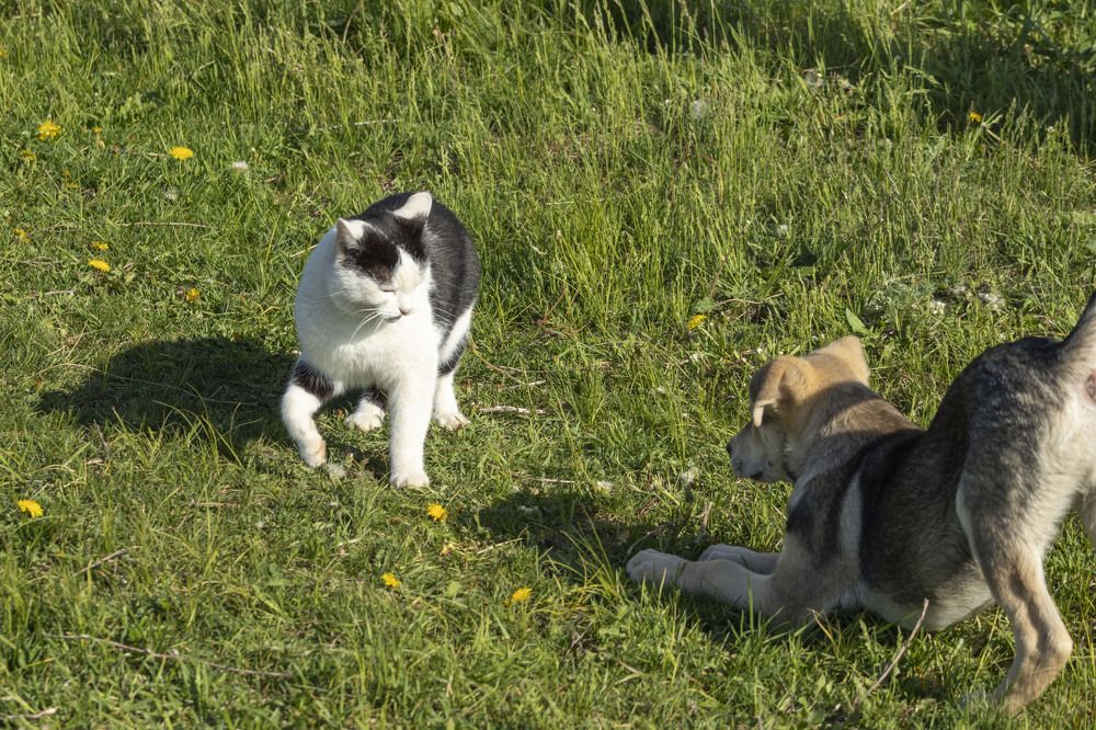 Photograph by Вера Почкалина
