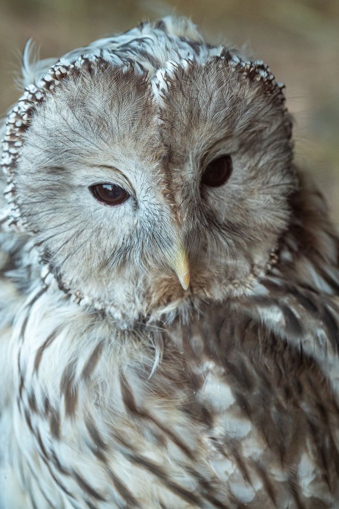 Photograph by Аверина Елена